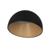 Потолочный светодиодный светильник Loft IT Egg 10197/350 Black фото 1 &mdash; svetrussia.ru