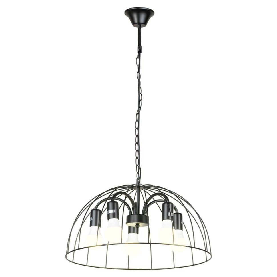 Подвесная люстра Lussole Lgo Lattice LSP-8216 фото 1 &mdash; svetrussia.ru