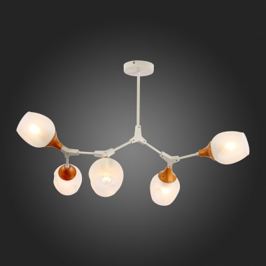 Потолочная люстра Evoluce Ciotolla SLE113502-05 &mdash; svetrussia.ru