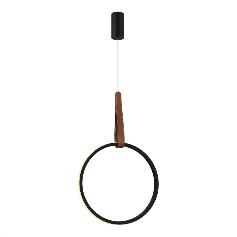 Подвесной светильник ST Luce SL6131.403.20 фото 1 &mdash; svetrussia.ru