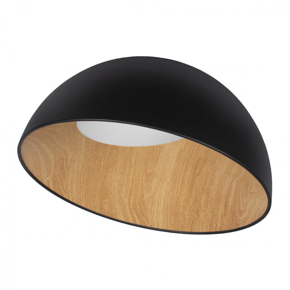 Потолочный светодиодный светильник Loft IT Egg 10197/500 Black фото 1 &mdash; svetrussia.ru