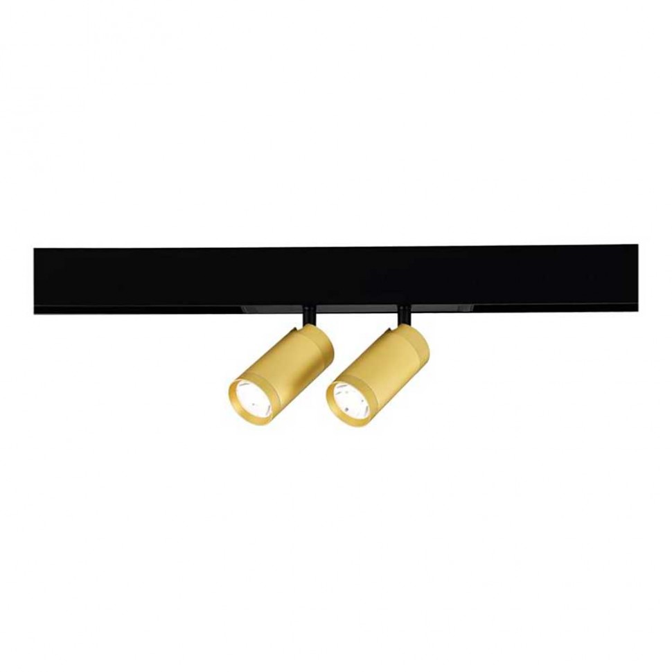 Трековый светильник ST Luce SKYLINE 220 ST660.286.20 фото 1 &mdash; svetrussia.ru