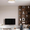 Потолочный светодиодный светильник Loft IT Flims 10228/A фото 5 &mdash; svetrussia.ru