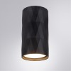 Потолочный светильник Arte Lamp Fang A5557PL-1BK фото 2 &mdash; svetrussia.ru