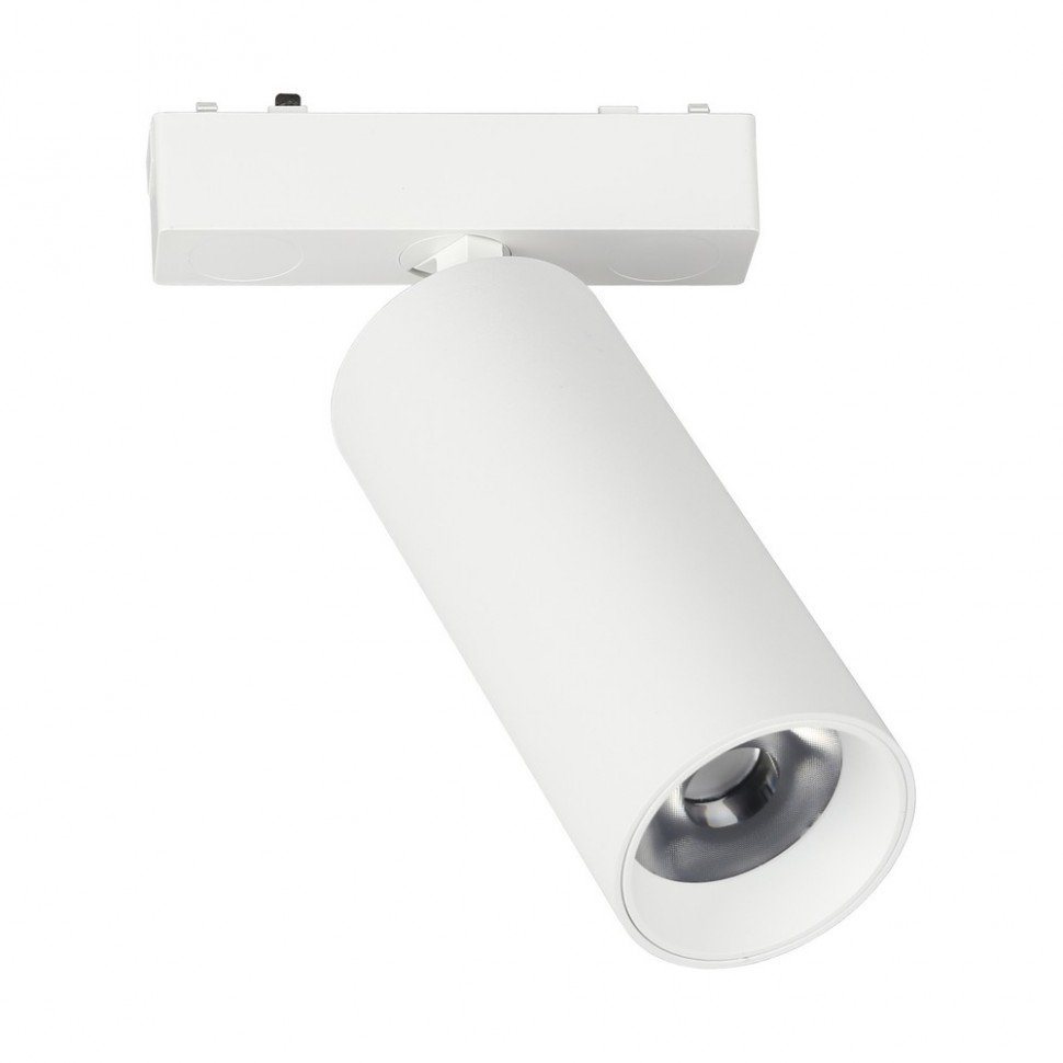 Трековый светильник Aployt Magnetic track 48 APL.0114.10.18 фото 1 &mdash; svetrussia.ru