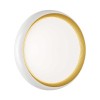 Настенно-потолочный светодиодный светильник Sonex Pale Tofiq White 7650/EL фото 5 &mdash; svetrussia.ru