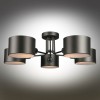 Потолочная люстра Omnilux Lisera OML-54507-05 фото 5 &mdash; svetrussia.ru