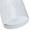 Потолочный светильник Arte Lamp Fang A5557PL-1WH фото 2 &mdash; svetrussia.ru