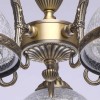 Потолочная люстра MW-Light Аманда 6 481011805 фото 10 &mdash; svetrussia.ru