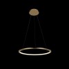 Подвесной светодиодный светильник Loft IT Ring 10014M фото 4 &mdash; svetrussia.ru