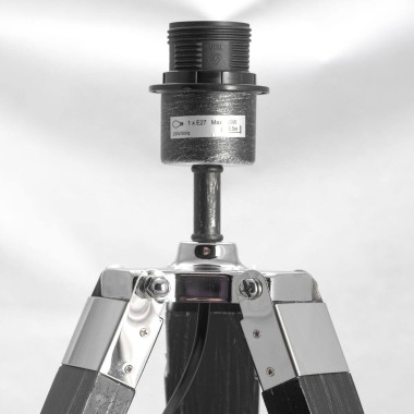 Настольная лампа Lussole Lgo Amistad LSP-0555 &mdash; svetrussia.ru