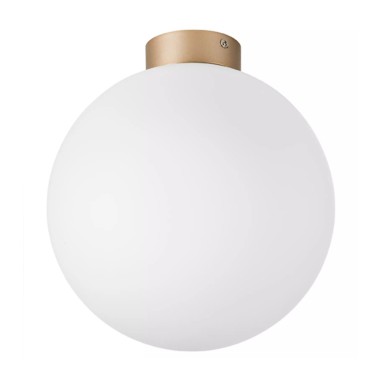 Настенно-потолочный светильник Lightstar Globo 812033 &mdash; svetrussia.ru