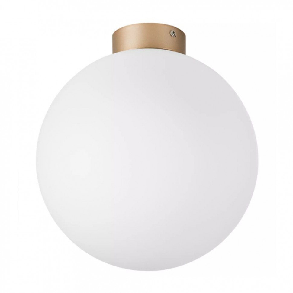 Настенно-потолочный светильник Lightstar Globo 812033 фото 1 &mdash; svetrussia.ru