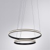 Подвесной светодиодный светильник Arte Lamp Meridiana A2198SP-2BK фото 2 &mdash; svetrussia.ru