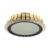 Потолочный светодиодный светильник Odeon Light Asturo 4994/75L фото 1 &mdash; svetrussia.ru