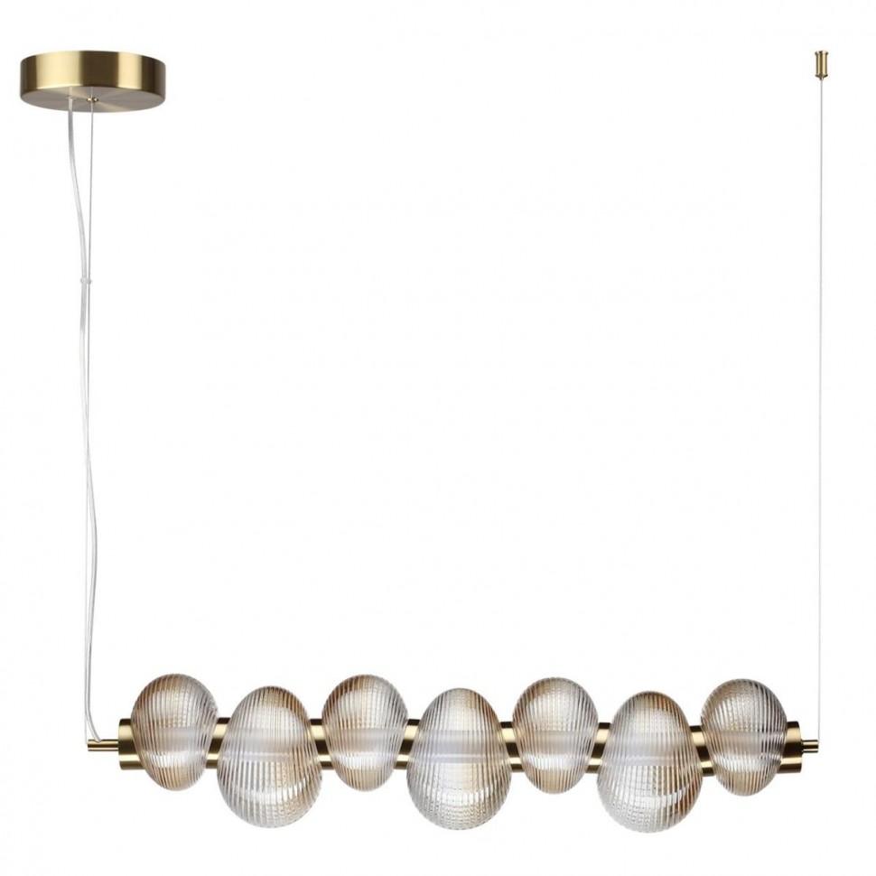 Подвесной светодиодный светильник Odeon Light L-Vision Bruco 5095/24L фото 1 &mdash; svetrussia.ru