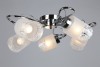 Потолочная люстра Omnilux Mandorleto OML-54407-05 фото 3 &mdash; svetrussia.ru