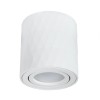 Потолочный светильник Arte Lamp Fang A5559PL-1WH фото 1 &mdash; svetrussia.ru