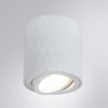 Потолочный светильник Arte Lamp Fang A5559PL-1WH фото 4 &mdash; svetrussia.ru