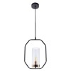 Подвесной светильник Arte Lamp Celaeno A7004SP-1BK фото 1 &mdash; svetrussia.ru