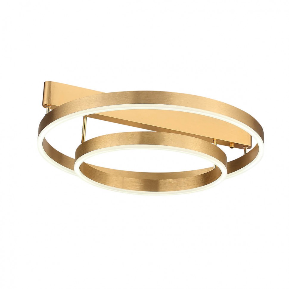 Потолочная светодиодная люстра ST Luce Onze SL944.202.02 фото 1 &mdash; svetrussia.ru