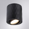 Потолочный светильник Arte Lamp Fang A5559PL-1BK фото 4 &mdash; svetrussia.ru