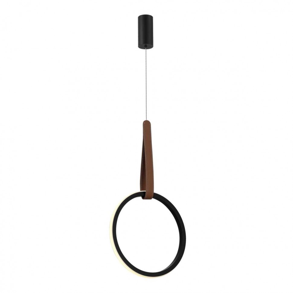 Подвесной светильник ST Luce SL6131.403.12 фото 1 &mdash; svetrussia.ru