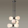 Подвесная люстра Odeon Light Exclusive Elica 5418/6 фото 4 &mdash; svetrussia.ru