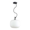 Подвесной светильник Odeon Light Pendant Roofi 4753/1 фото 1 &mdash; svetrussia.ru