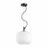 Подвесной светильник Odeon Light Pendant Roofi 4753/1 фото 3 &mdash; svetrussia.ru