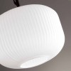 Подвесной светильник Odeon Light Pendant Roofi 4754/1 фото 3 &mdash; svetrussia.ru