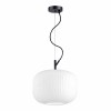 Подвесной светильник Odeon Light Pendant Roofi 4754/1 фото 4 &mdash; svetrussia.ru