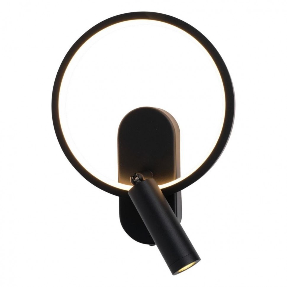 Светильник настенный Aployt Monik APL.346.01.02 фото 1 &mdash; svetrussia.ru