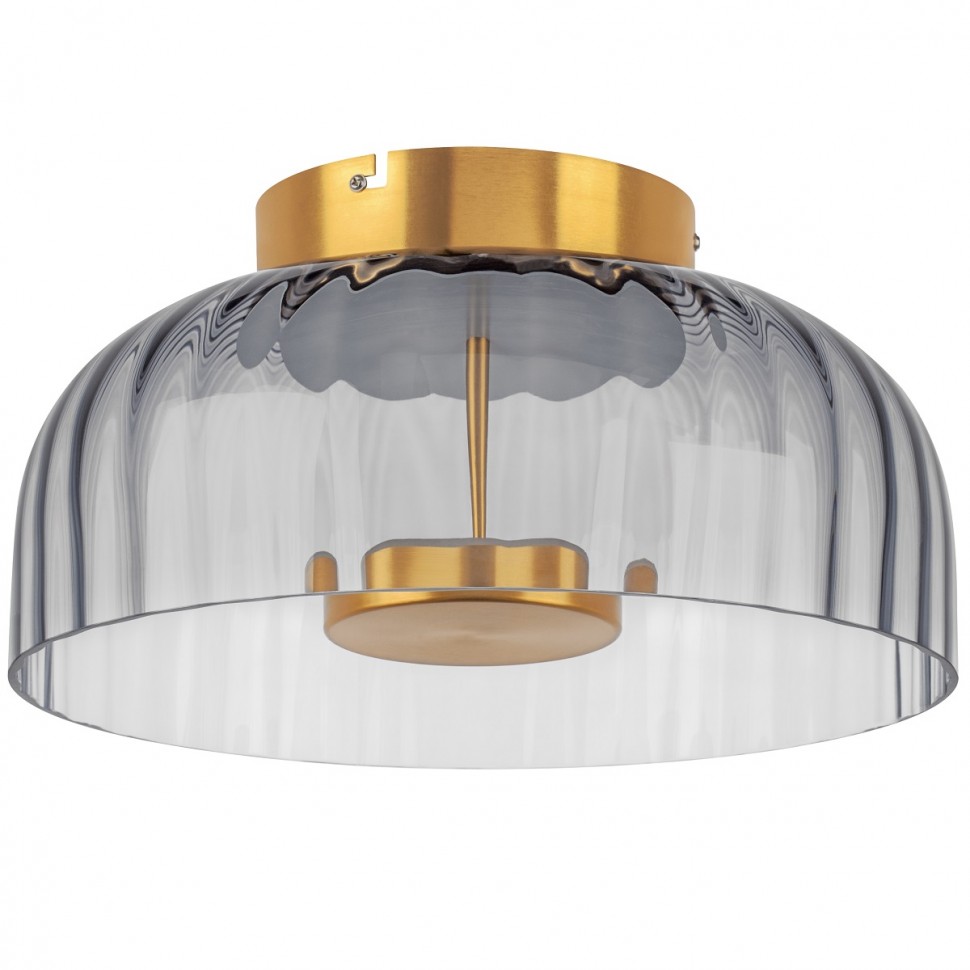 Потолочный светодиодный светильник Lightstar Celesta 809061 фото 1 &mdash; svetrussia.ru