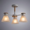 Потолочная люстра Arte Lamp Tyler A1031PL-3WH фото 3 &mdash; svetrussia.ru