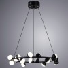 Подвесная светодиодная люстра Arte Lamp Dexter A3619SP-18BK фото 2 &mdash; svetrussia.ru