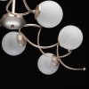 Потолочная люстра MW-Light Оливия 306012709 фото 6 &mdash; svetrussia.ru