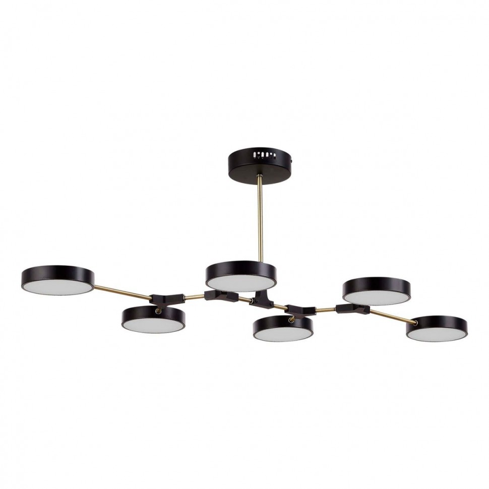 Потолочная светодиодная люстра Evoluce Monta SLE6004-402-06 фото 1 &mdash; svetrussia.ru