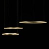 Подвесной светодиодный светильник Loft IT Ring 10017/3L фото 3 &mdash; svetrussia.ru