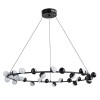 Подвесная светодиодная люстра Arte Lamp Dexter A3619SP-30BK фото 1 &mdash; svetrussia.ru