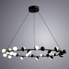 Подвесная светодиодная люстра Arte Lamp Dexter A3619SP-30BK фото 3 &mdash; svetrussia.ru