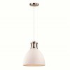 Подвесной светильник Odeon Light Pendant Viola 3323/1 фото 1 &mdash; svetrussia.ru