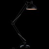 Торшер Arte Lamp Goliath A2487PN-1BK фото 3 &mdash; svetrussia.ru