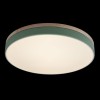 Потолочный светодиодный светильник Loft IT Axel 10001/36 green фото 3 &mdash; svetrussia.ru