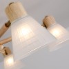 Потолочная люстра Arte Lamp Meleph A4096PL-8BR фото 3 &mdash; svetrussia.ru