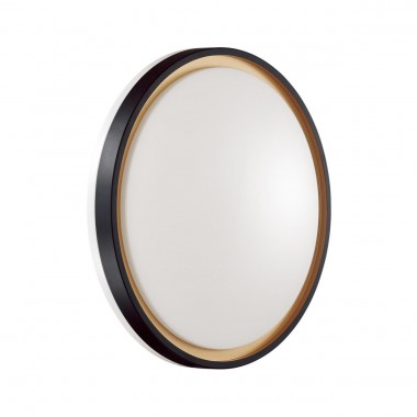 Настенно-потолочный светодиодный светильник Sonex Pale Klapa 3045/DL &mdash; svetrussia.ru