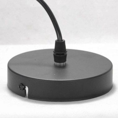 Подвесной светильник Lussole Lgo Bossier LSP-8273 &mdash; svetrussia.ru