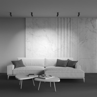 Потолочный светодиодный светильник Maytoni Technical Dafne C027CL-L10B4K &mdash; svetrussia.ru