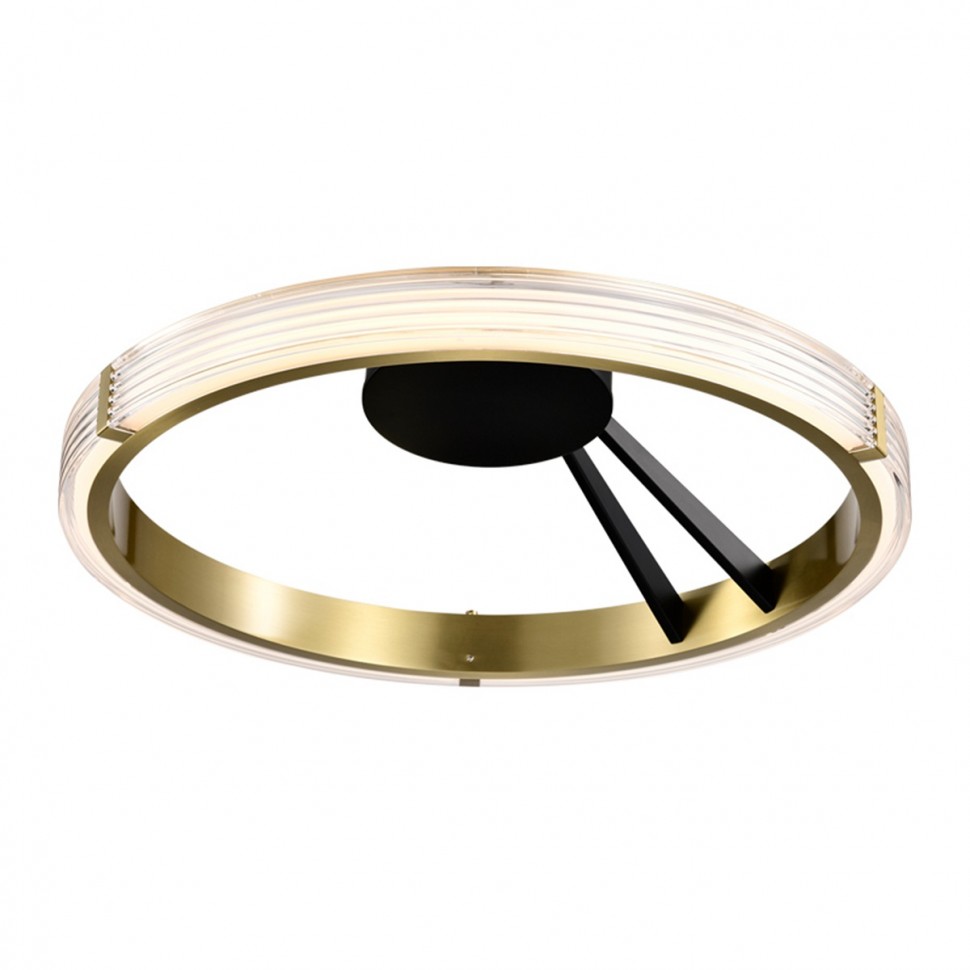 Потолочный светодиодный светильник Lightstar Rotonda 736041 фото 1 &mdash; svetrussia.ru