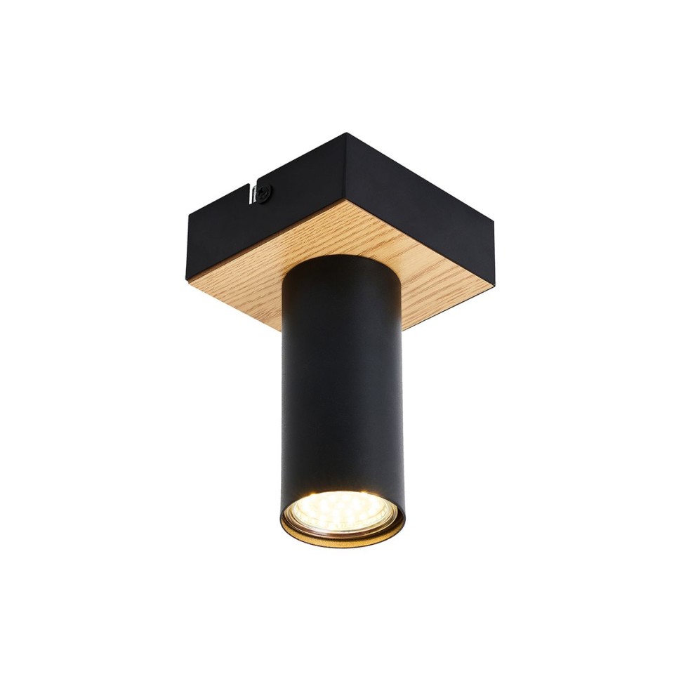 Потолочный светильник F-Promo Olson 4431-1C фото 1 &mdash; svetrussia.ru